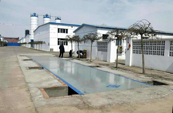 ������˹-100��